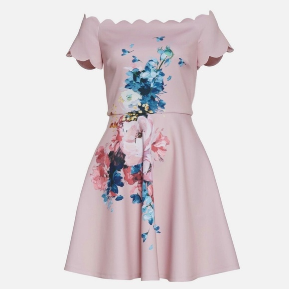 NWT Ted Baker Dress Raspbery Bardot Skater  size:5,  light pink,  painted flower - Picture 2 of 11